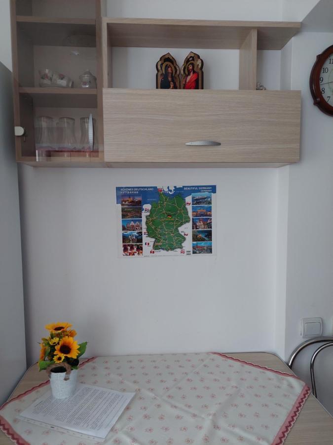 Fely Room Petrosani Luaran gambar