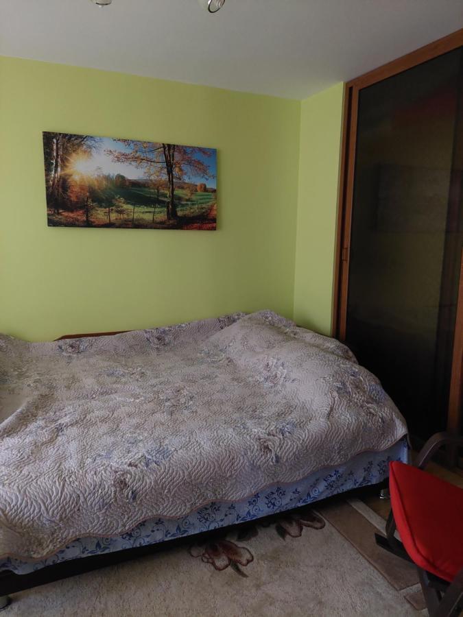 Fely Room Petrosani Luaran gambar